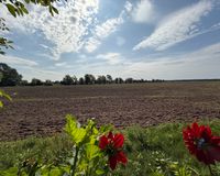 Pure Natur