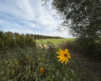 Weitblick