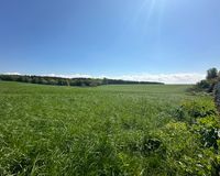 Weitblick