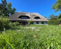 Sicht aus dem Garten
